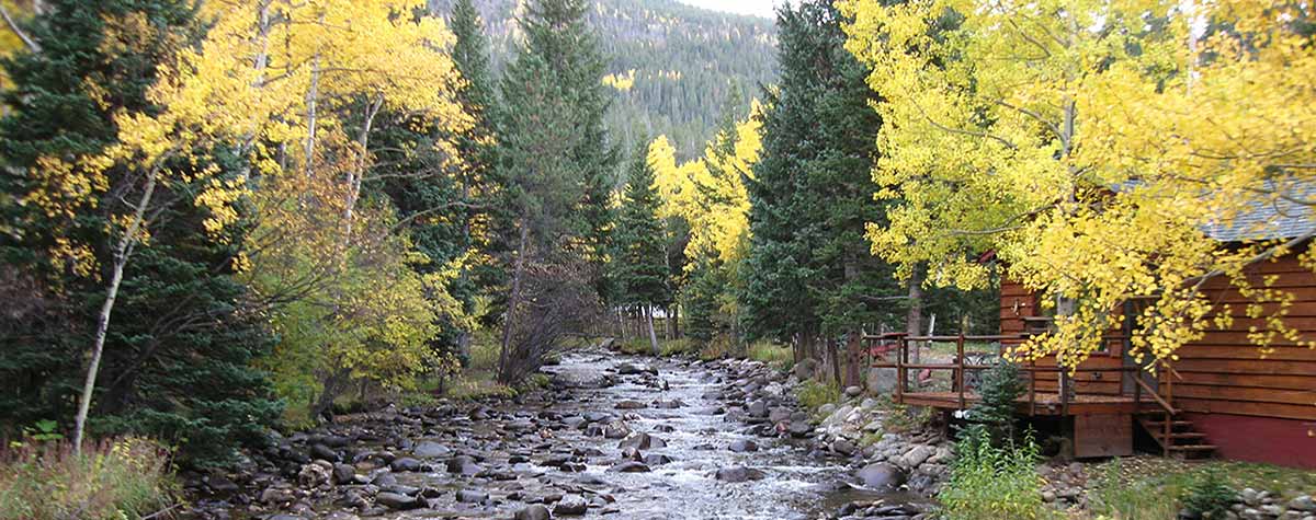 Cabin on the River